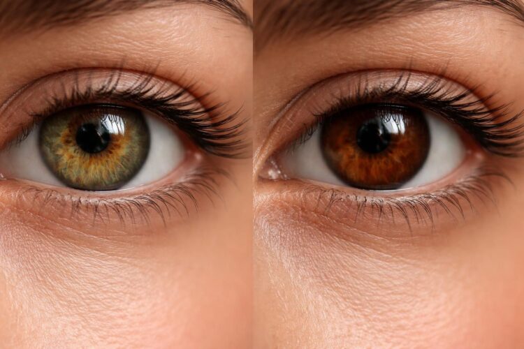 découvrez les nuances uniques des yeux hazel foncé et leurs différences avec les yeux marron, pour mieux comprendre ces magnifiques couleurs de regard.